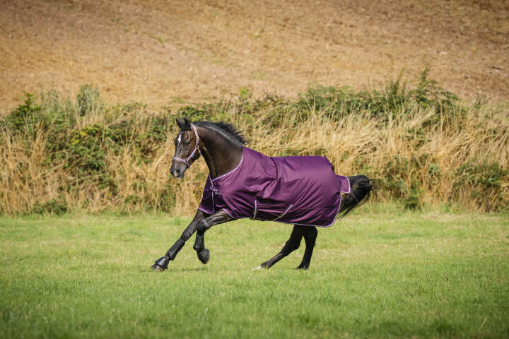 bucas Outdoordecke Freedom Turnout 50 g Blueberry